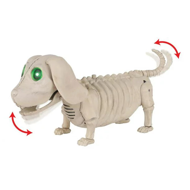 Wiener Dog Skeleton Animatronic